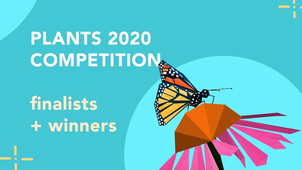 Plants 2020 Competition! 🌱 Winners + Finalists 🍄
