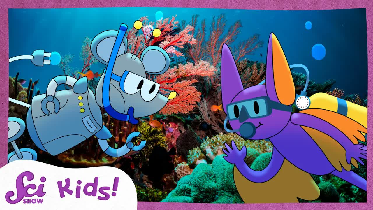 Coolest Ocean Facts! | SciShow Kids Compilation